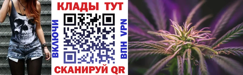 Где купить наркоту Заводоуковск Альфа ПВП  Мефедрон  АМФЕТАМИН  КЕТАМИН  Галлюциногенные грибы  ГАШ  Конопля 