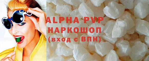 стаф Елизово