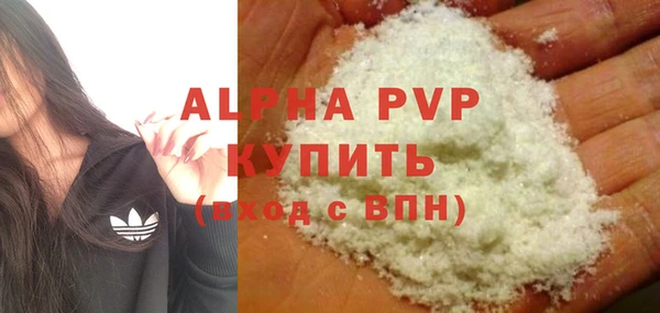 эйфоретик Ельня