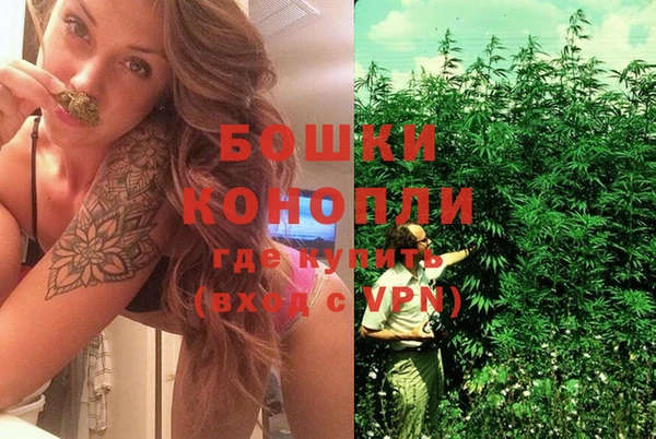 эйфоретик Ельня