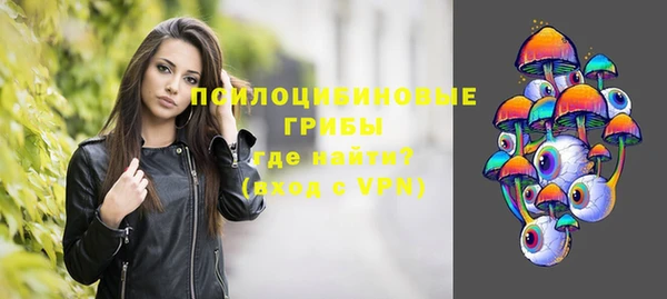 стаф Елизово