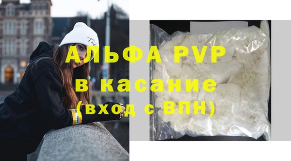 эйфоретик Ельня