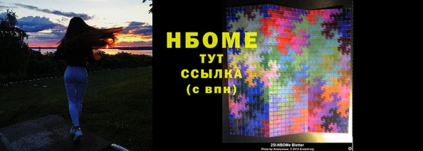 стаф Елизово