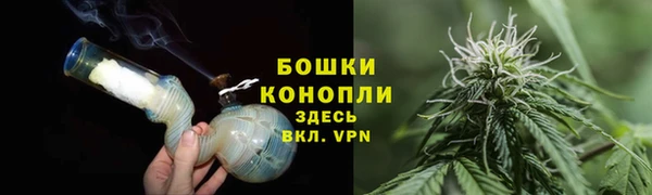 стаф Елизово