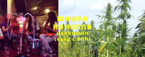 стаф Елизово