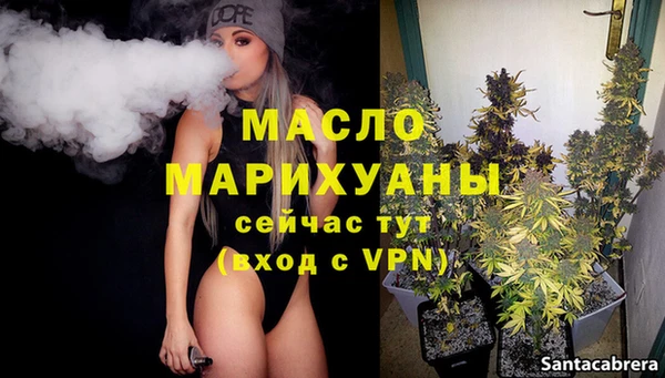 эйфоретик Ельня