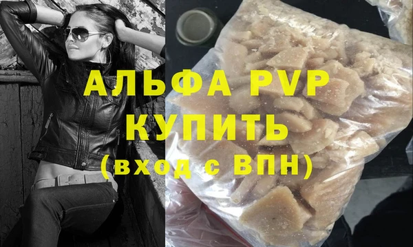 стаф Елизово