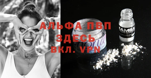 стаф Елизово