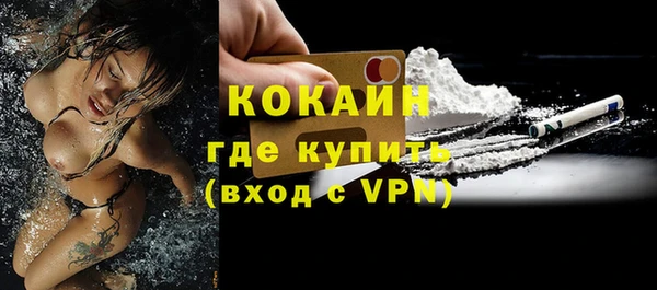 эйфоретик Ельня