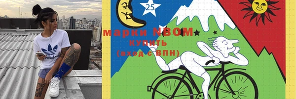 стаф Елизово