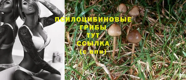 эйфоретик Ельня